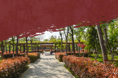 丨世界嗓音日丨守护你的「声音名片」，耳鼻喉科医生教你科学护嗓