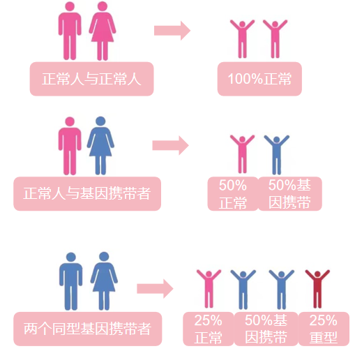 你的血红蛋白「图纸」拿反了，补铁等于给身体「上锈」