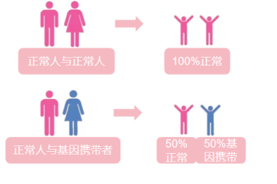 你的血红蛋白「图纸」拿反了，补铁等于给身体「上锈」