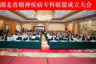 携手共筑湖北心理健康防护新屏障 湖北省精神疾病专科联盟依托武汉大学人民医院成立