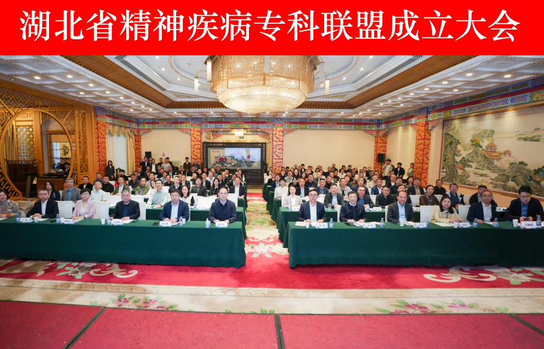 携手共筑湖北心理健康防护新屏障 湖北省精神疾病专科联盟依托武汉大学人民医院成立