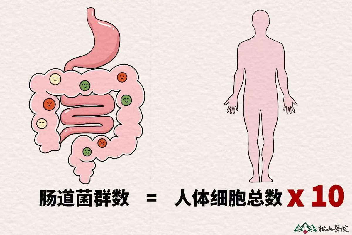 肠道健康日|别忽视腹胀、排气多、消化不良 一文读懂小肠细菌过度生长