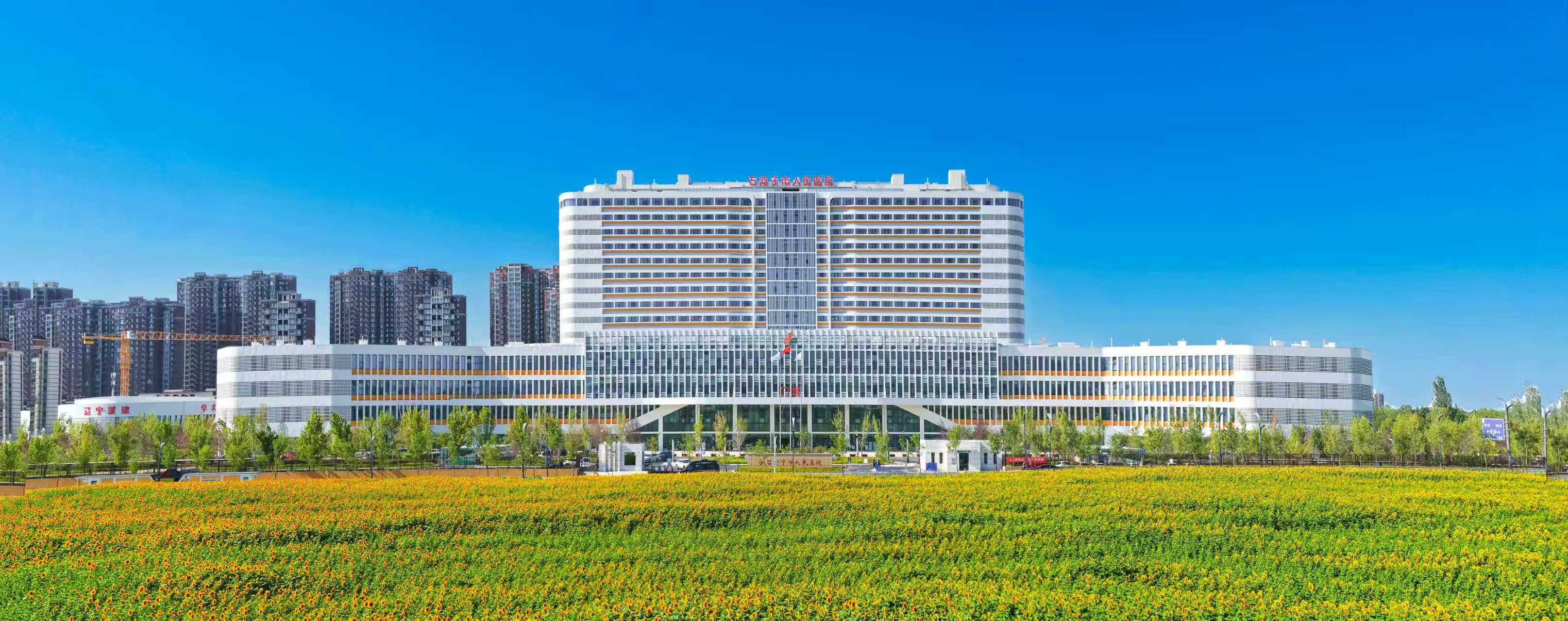 全国荣誉+1,石河子市人民医院在全国卫生健康行业青年创新大赛中斩获佳绩!