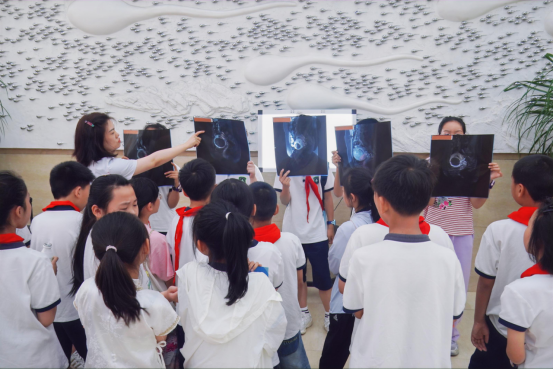 海波啵超声探秘树人二塘小学专场科普活动圆满举办