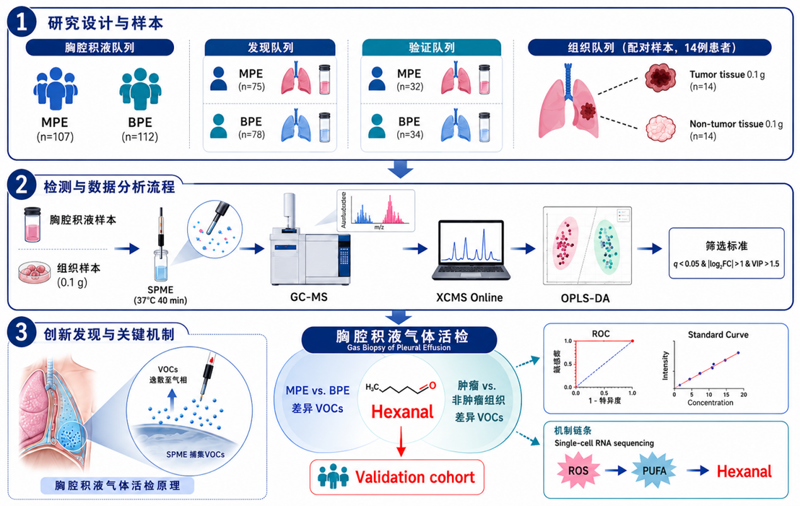 闻「液」识癌：中国科学院合肥物质院健康所科研团队提出胸腔积液气体活检诊断肺癌新策略