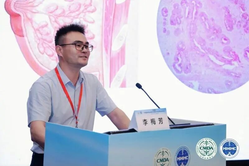 共话前沿技术,2026 中国医师协会微无创医学专业委员会年会在长沙顺利召开