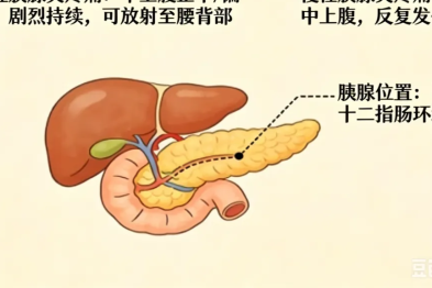 烧烤配啤酒，当心「胰」场世界杯变「危」机！