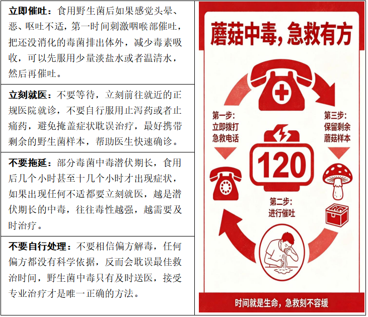 见小人、失忆……已有多起野生菌中毒，保命指南所有人必看