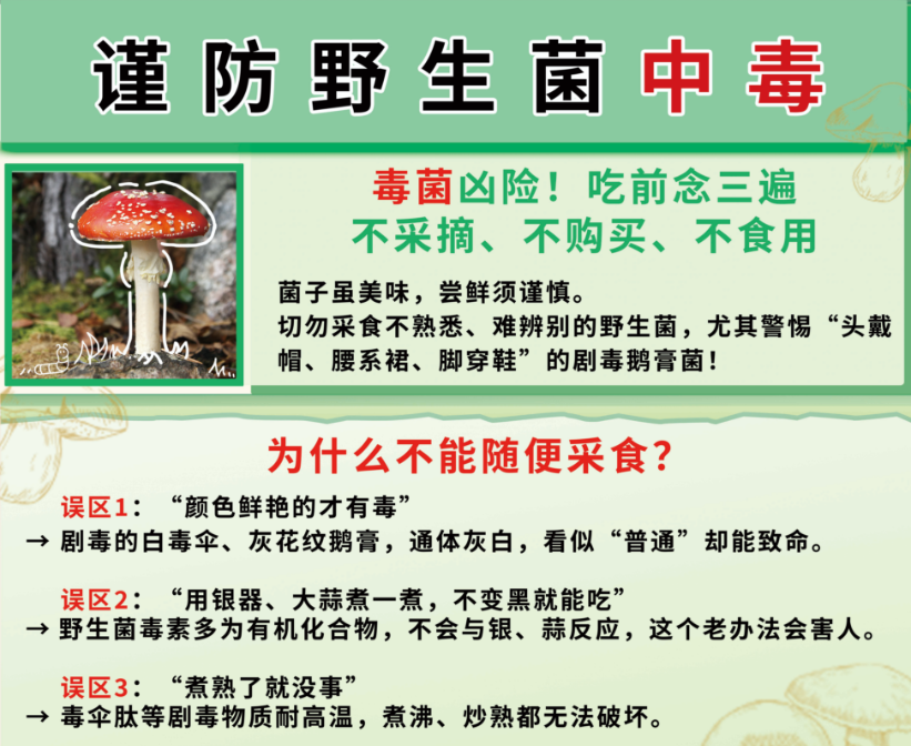 见小人、失忆……已有多起野生菌中毒，保命指南所有人必看