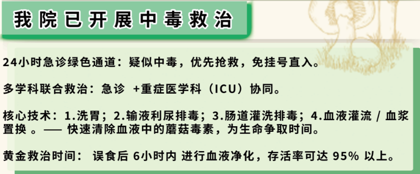 见小人、失忆……已有多起野生菌中毒，保命指南所有人必看