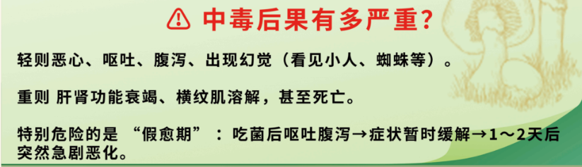 见小人、失忆……已有多起野生菌中毒，保命指南所有人必看