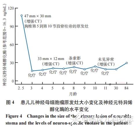 以头顶部单发淡蓝色结节为首发表现的新生儿神经母细胞瘤 1 例报告