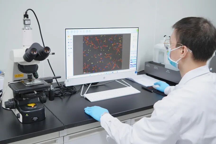别让精子拖垮备孕！精液常规分析，男性生育力第一道体检