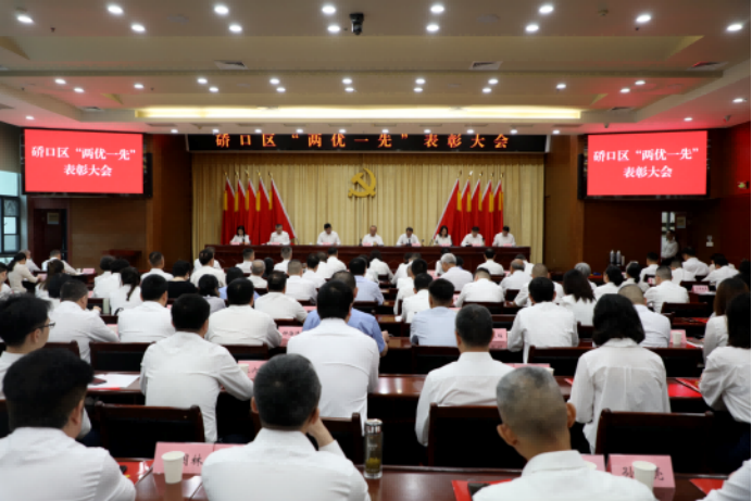 喜报频传,「两优一先」表彰!武汉普瑞眼科医院党支部荣获全市先进基层党组织等多项荣誉