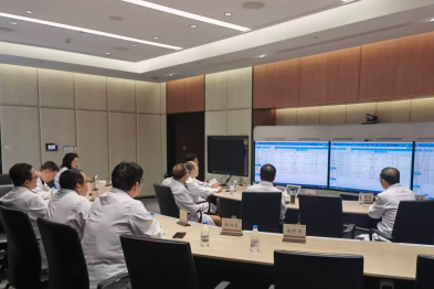 罕见肿瘤患者在合肥京东方医院肿瘤中心得到救治