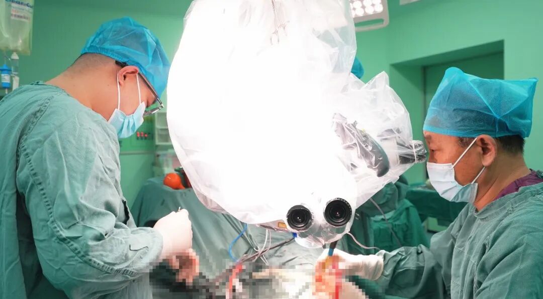 多学科协同筑牢生命防线 吉林国文医院打造区域标准化颅脑创伤救治中心