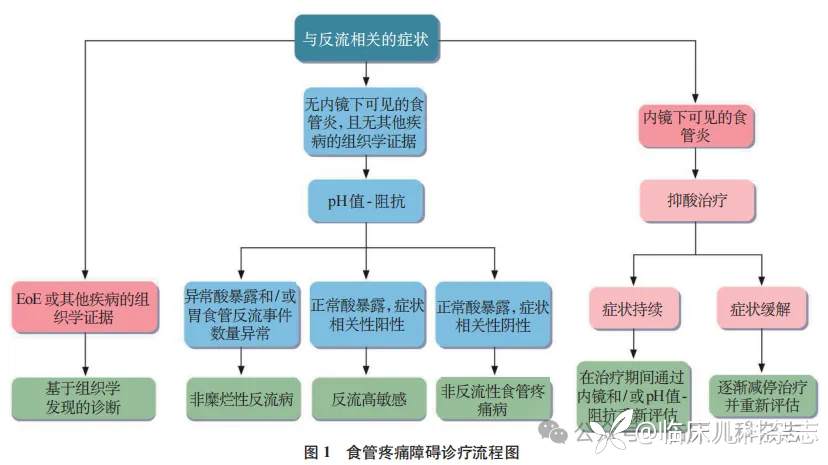 罗马Ⅴ诊断标准核心释义与解读：肠-脑互动异常的儿童与青少年上消化道疾病