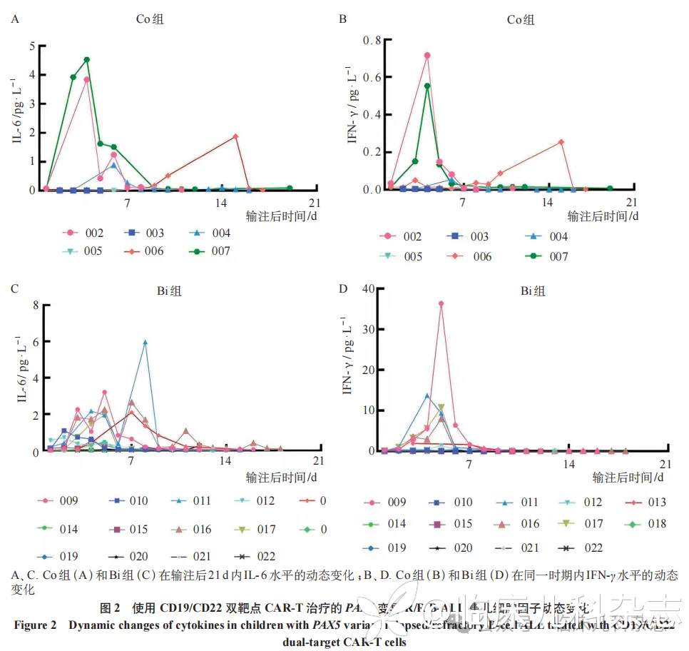 两种 CD19/CD22 双靶点 CAR-T 细胞治疗策略在儿童 PAX5 基因变异复发/难治性 B 细胞急性淋巴细胞白血病中的疗效对比研究