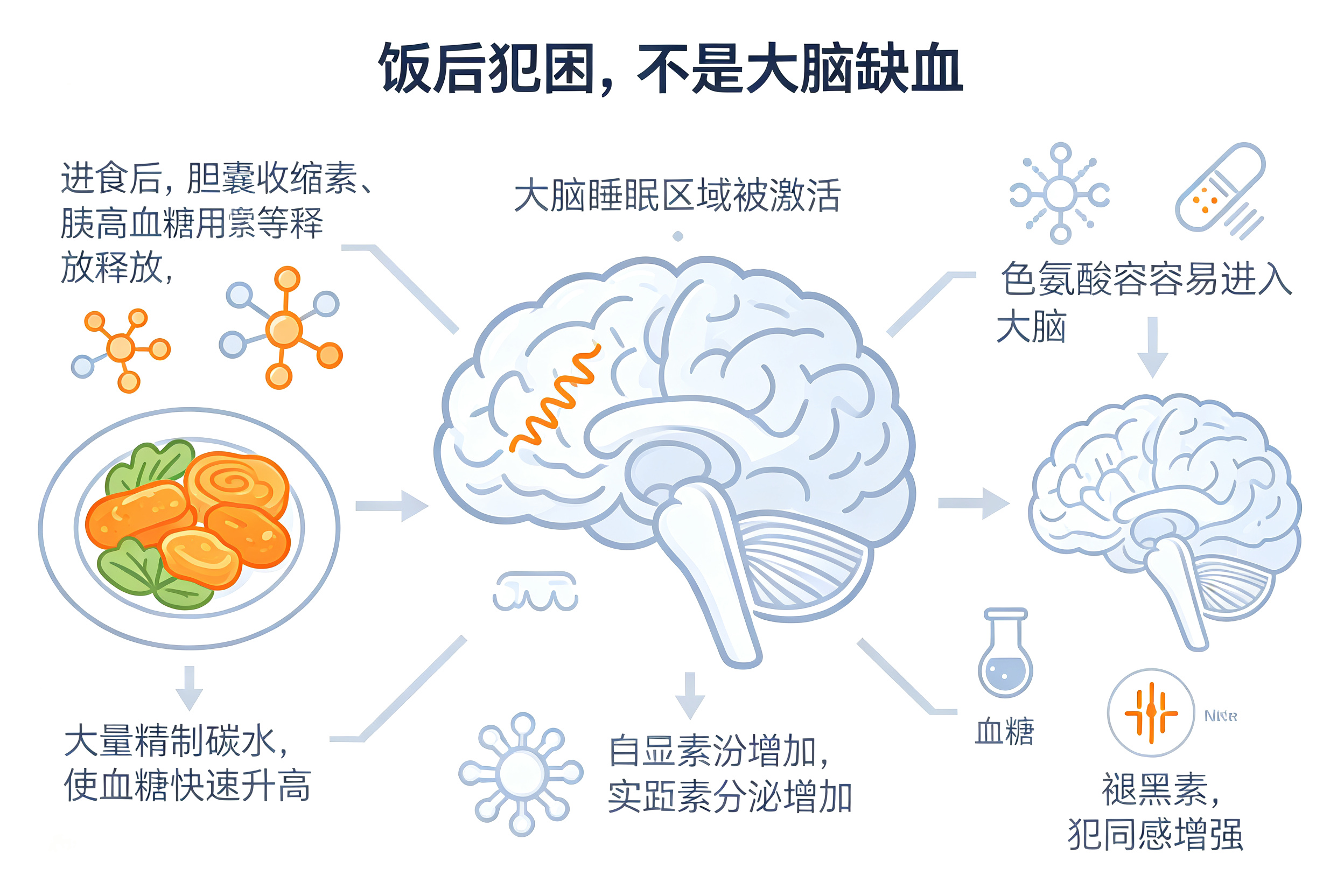 吃完饭就犯困,是"脑子缺血"吗