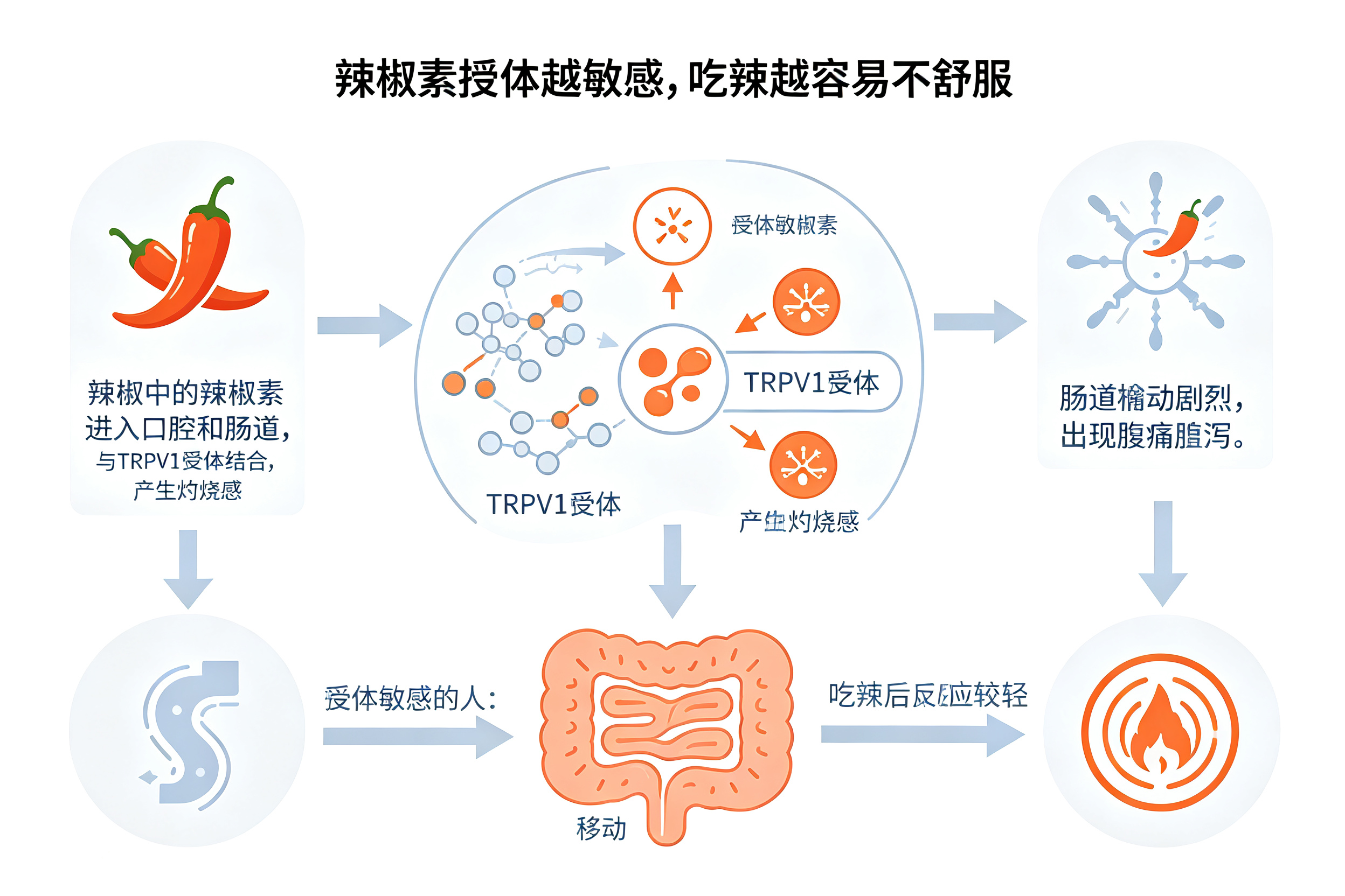 为什么有些人吃辣没事，有些人一吃就拉