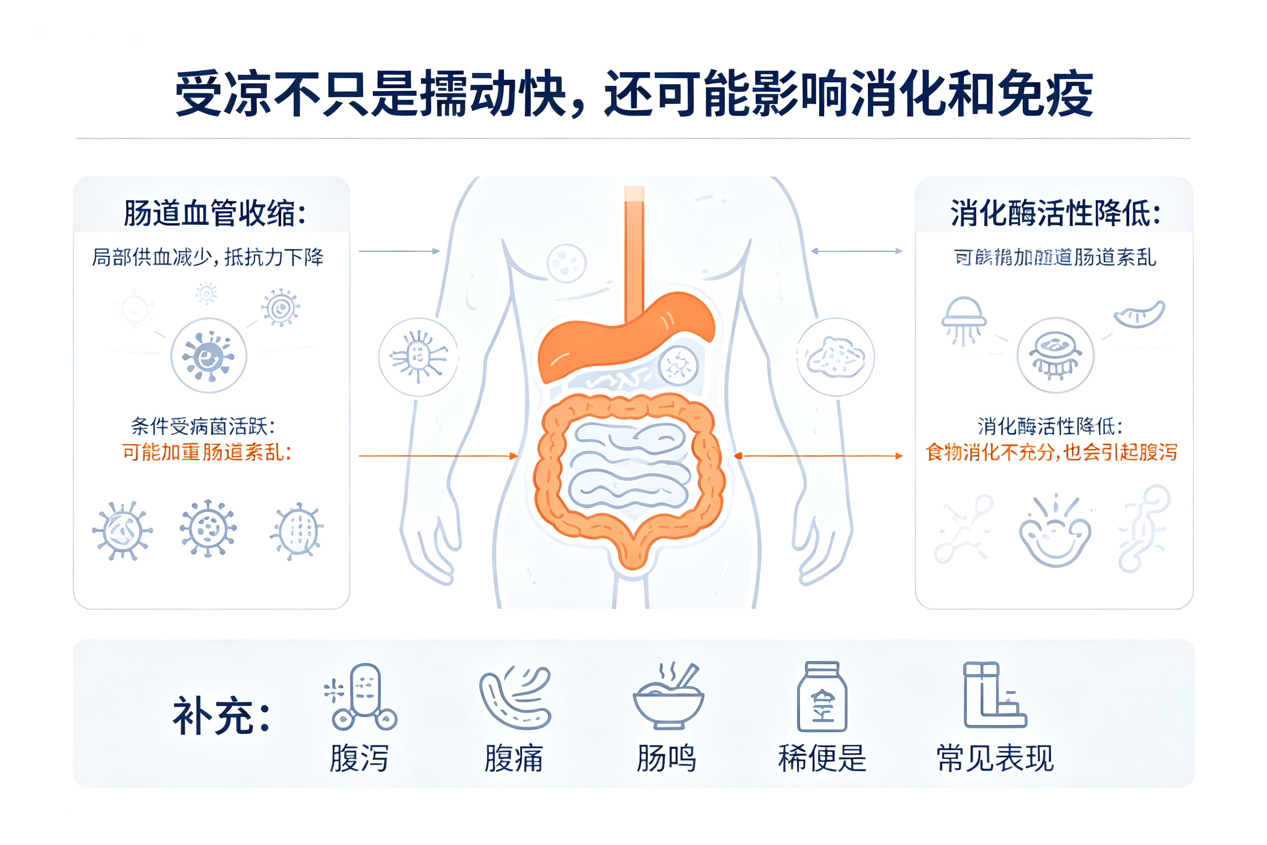 肚子着凉为什么会拉肚子