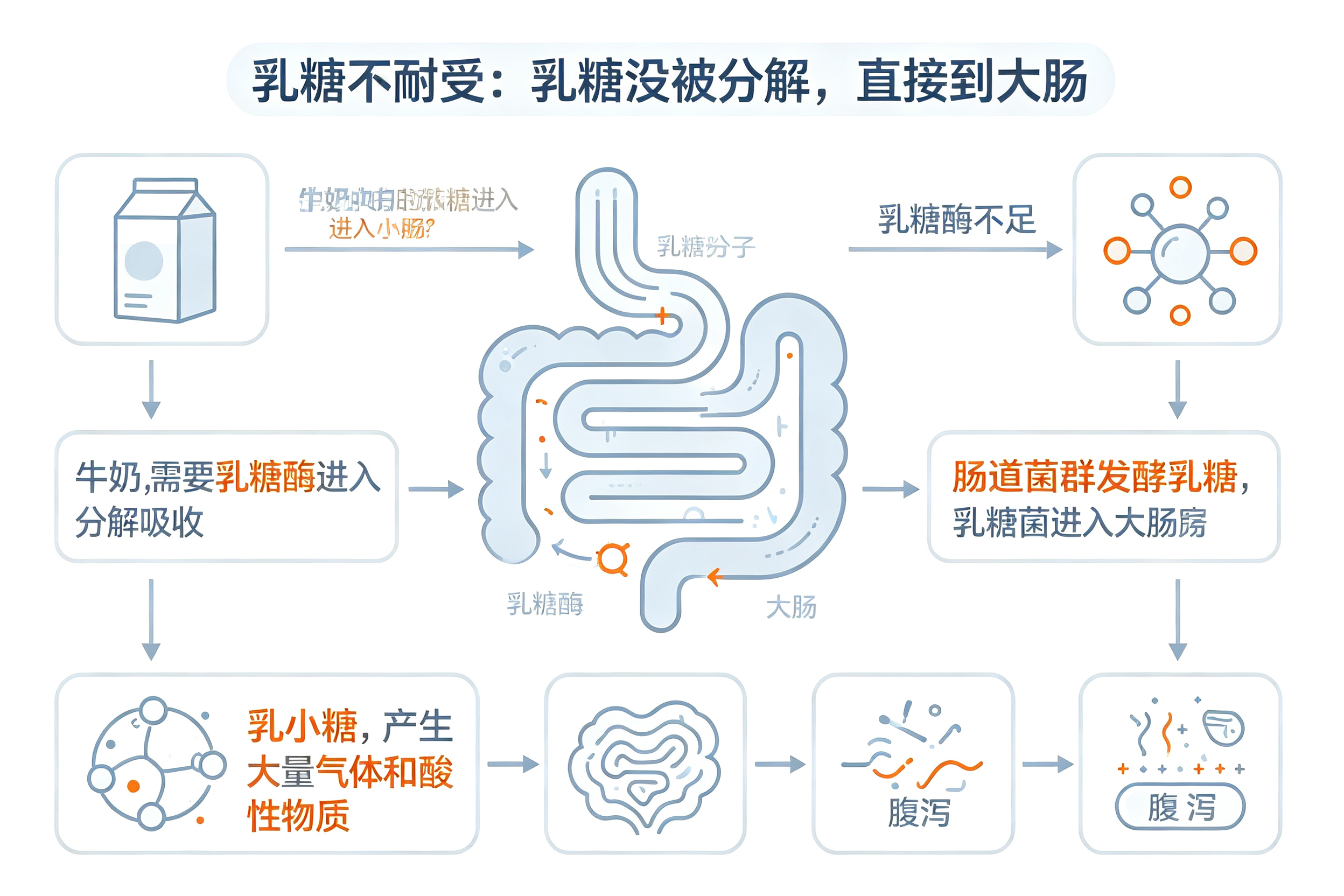 喝牛奶拉肚子，是牛奶坏了吗