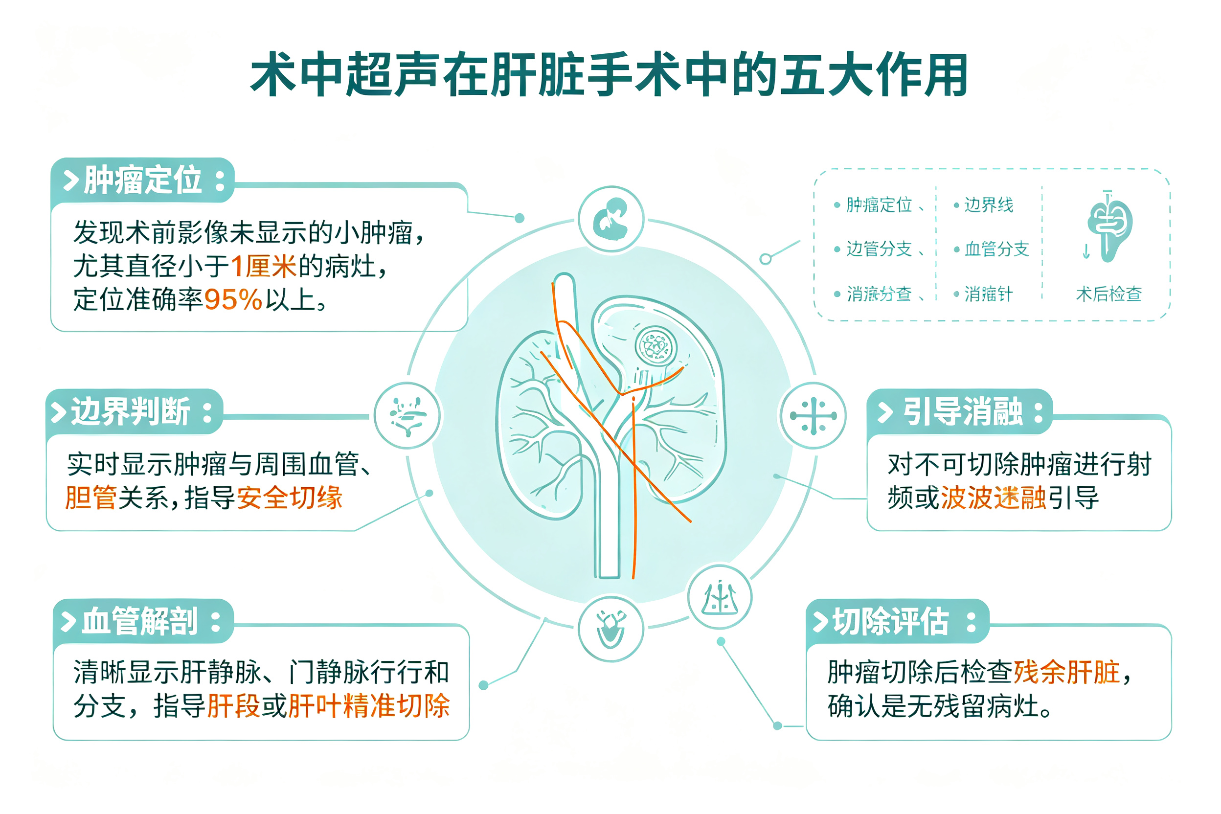 术中超声导航肝切除