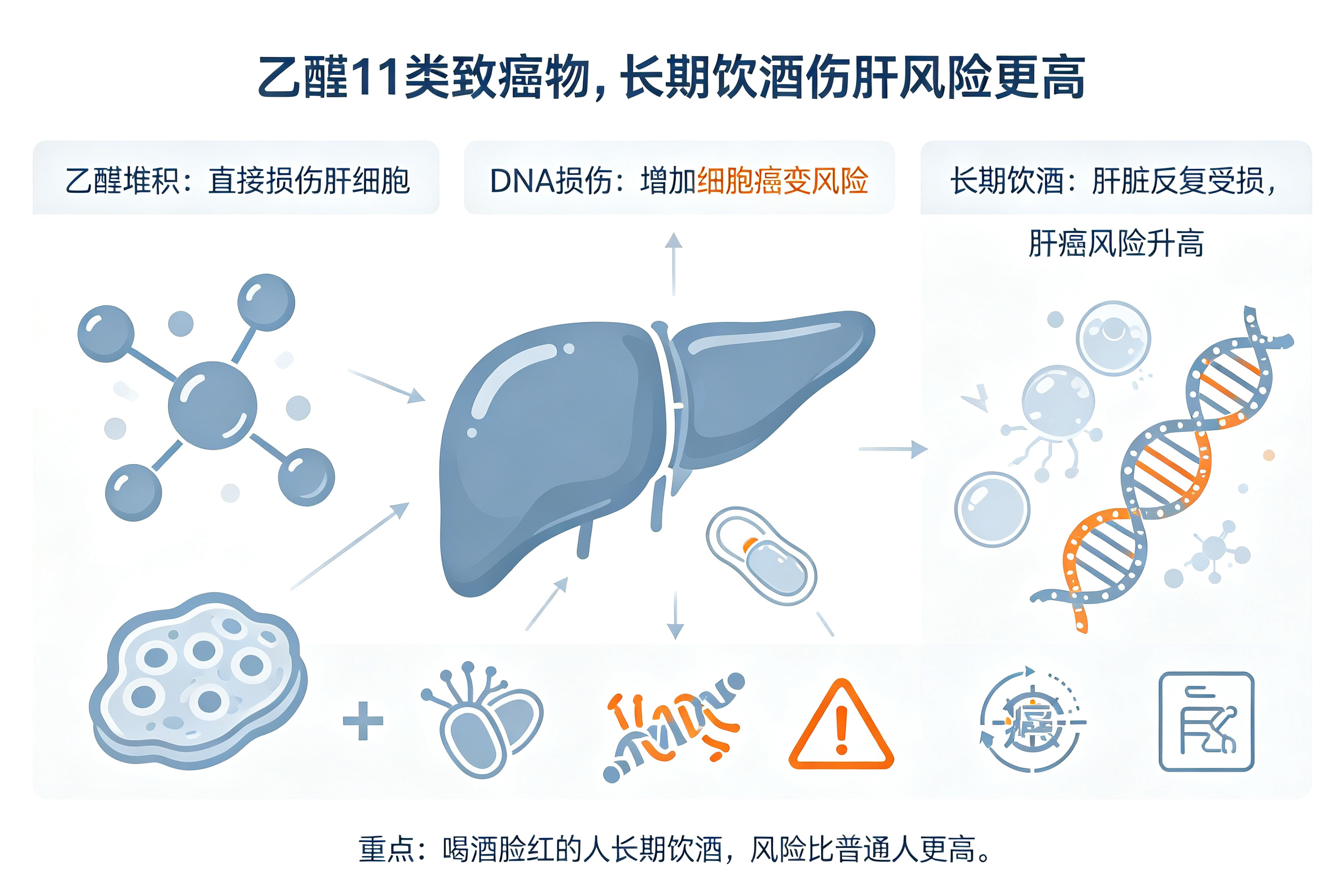 喝酒脸红的人，更容易得肝癌吗