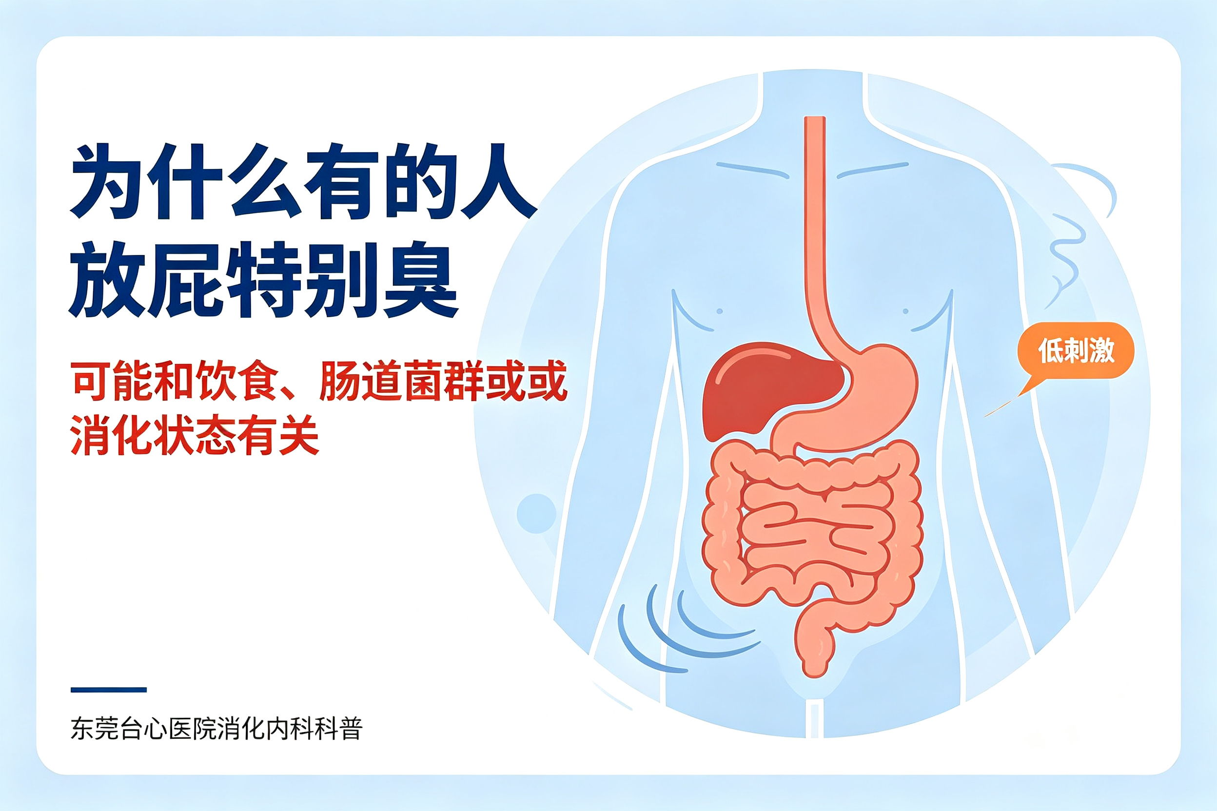 为什么有的人放屁特别臭