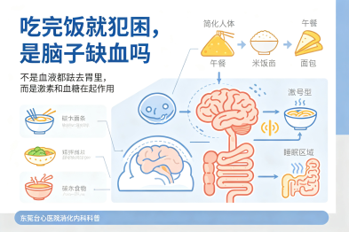 吃完饭就犯困，是"脑子缺血"吗