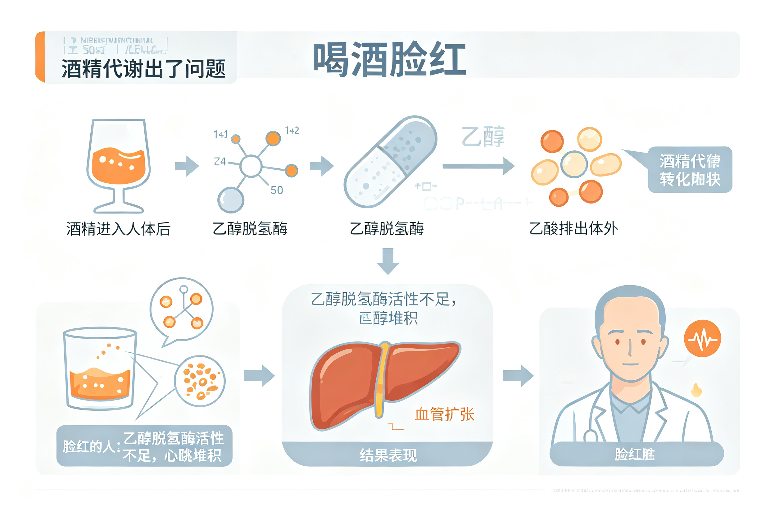 喝酒脸红的人，更容易得肝癌吗