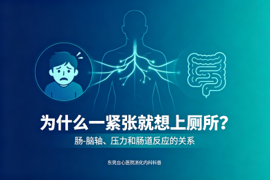 为什么有些人一紧张就想上厕所