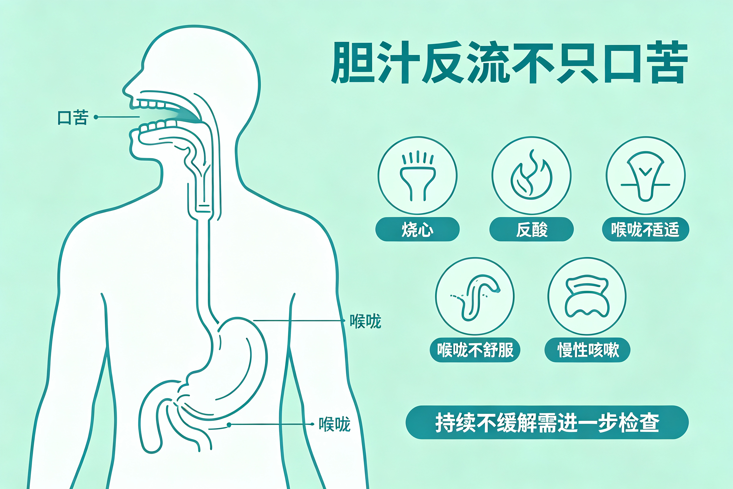 为什么有的人早上起来嘴巴苦