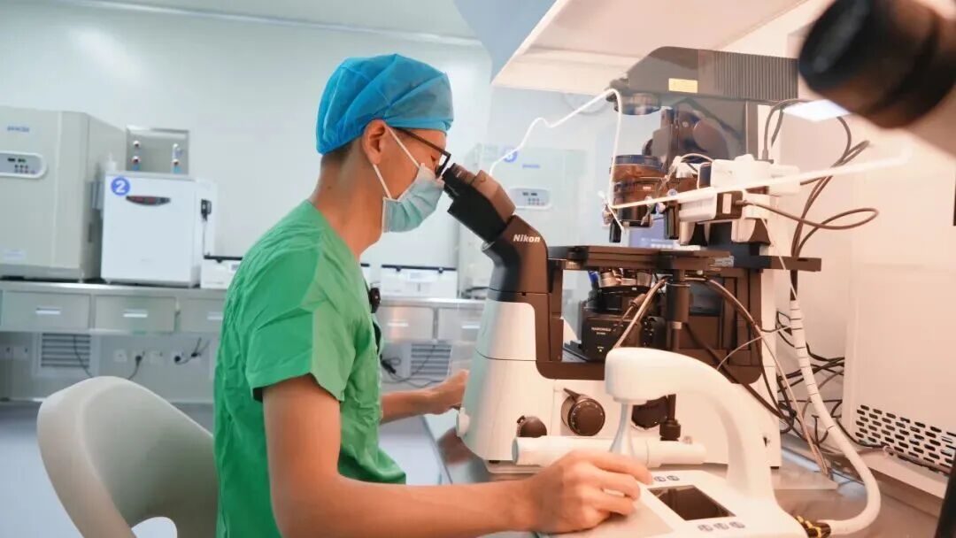 胚胎难着床?揭秘试管婴儿的「破壳」技术