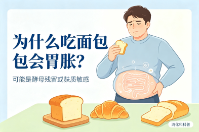 吃完面包总胀气? 原因终于讲清楚了