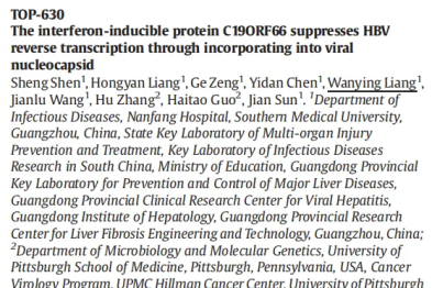 EASL2026 | 孙剑教授团队机制探索：干扰素刺激基因可阻断 HBV 逆转录