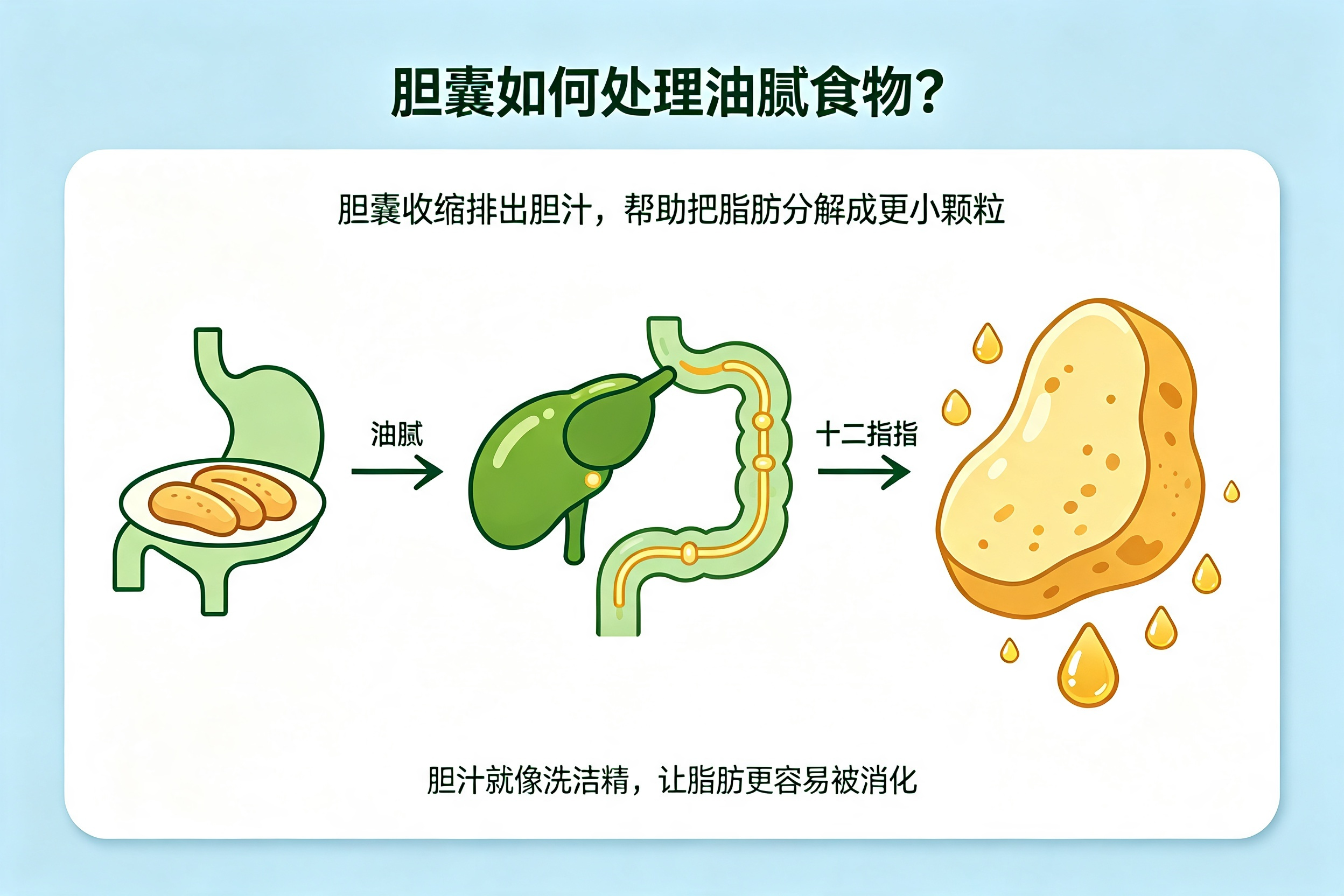 为什么有的人一吃油腻就"反胃"
