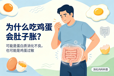 为什么吃鸡蛋后，腹部容易胀闷不适？