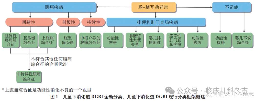 罗马Ⅴ诊断标准核心释义与解读:肠-脑互动异常的儿童与青少年下消化道及胆道疾病