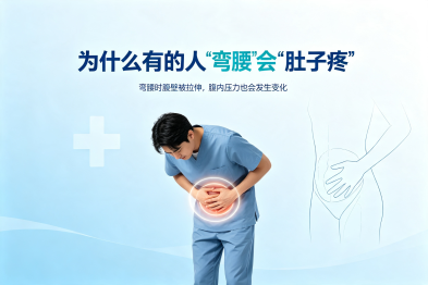 为什么有的人"弯腰"会"肚子疼"