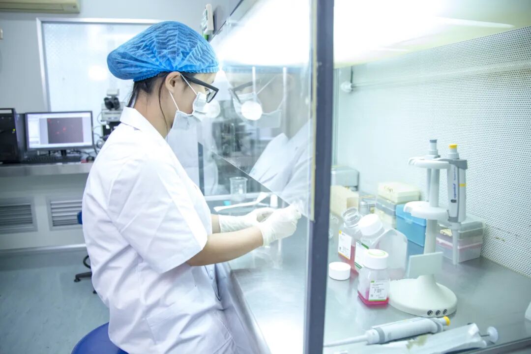守生命起点,筑万家好孕——致敬中国医师节