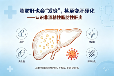 脂肪肝也会"发炎"，甚至变肝硬化——认识非酒精性脂肪性肝炎