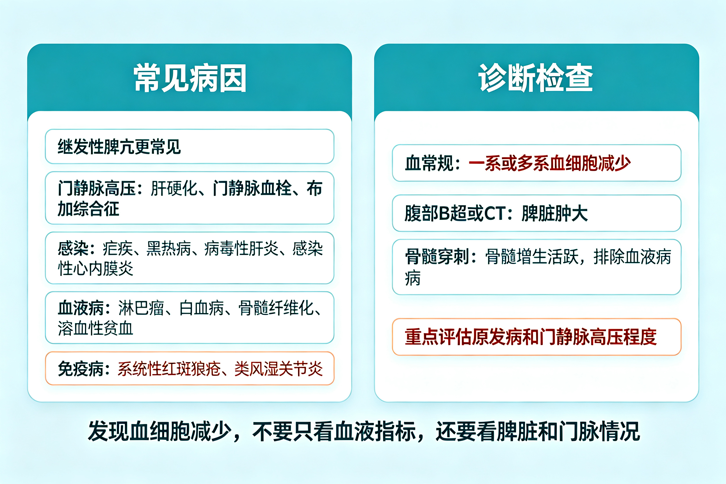 白细胞血小板减少,可能是脾脏"太活跃"——脾功能亢进