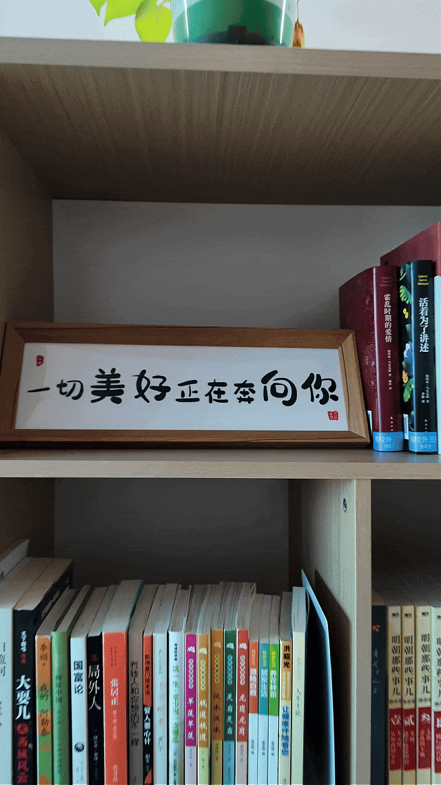 把图书馆开进病房:967 本书和背后的暖意