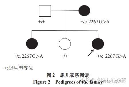 来自相同变异的不同表型:ATP1A3 基因变异相关发热诱导阵发性无力及脑病一家系报告