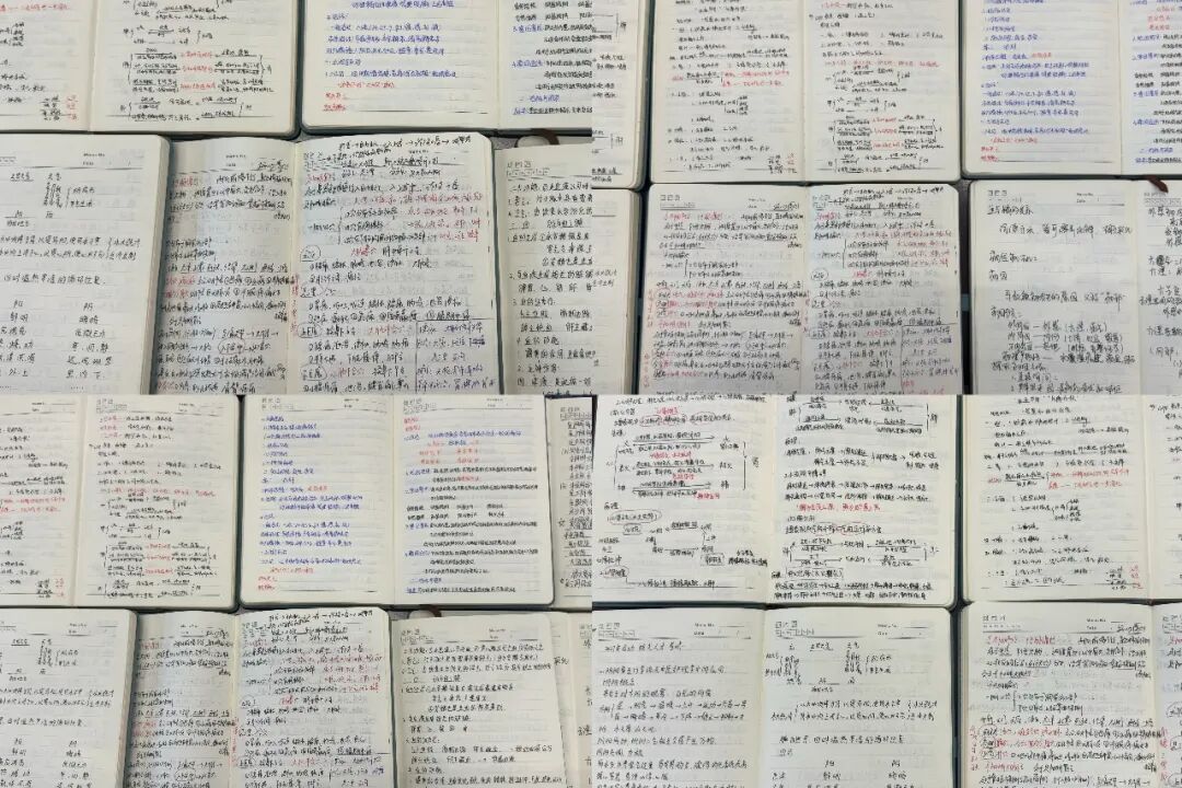 杏林深耕育英才 岐黄薪火谱新篇——2026 年陕西省高层次中医药人才(护理)培训在陕中附院顺利举办