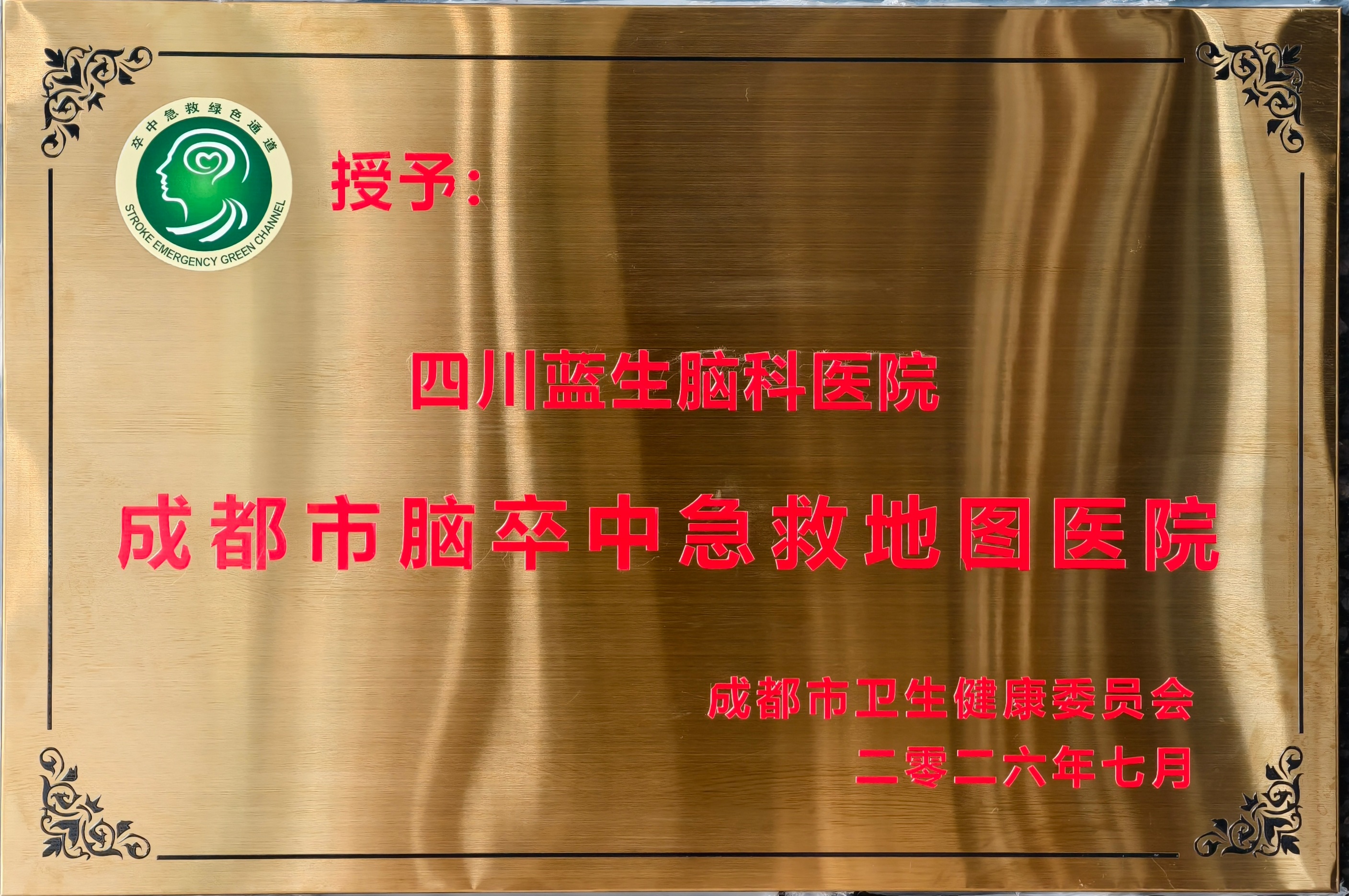 卒中急救地图精准导航,四川蓝生脑科医院 28 分钟极速抢救 79 岁脑梗患者