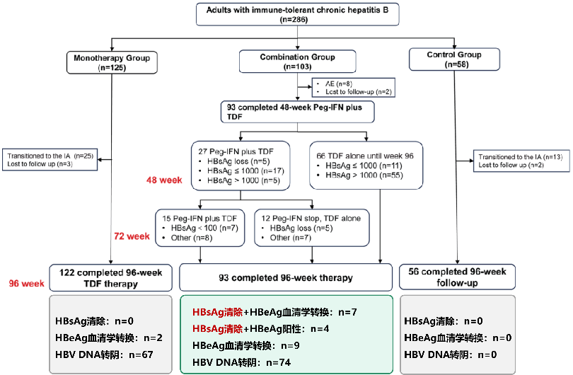 【期刊导读】基于 Peg-IFNα-2b 治疗显著提高免疫耐受期患者的 HBsAg 清除率