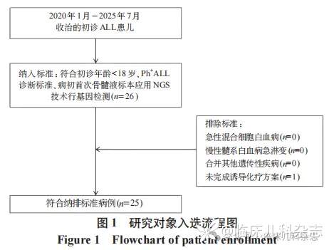 儿童费城染色体阳性急性淋巴细胞白血病二代测序基因变异及预后意义的回顾性队列研究