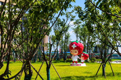 中疾控最新指南更新，成人流感疫苗已上新，9-10 月正是黄金接种期！